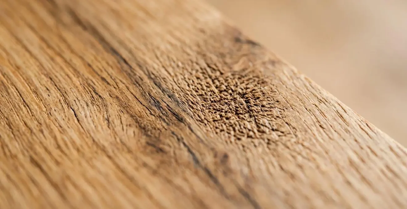 Gros plan détaillé d'une surface en bois naturel avec texture visible et finition mate protectrice