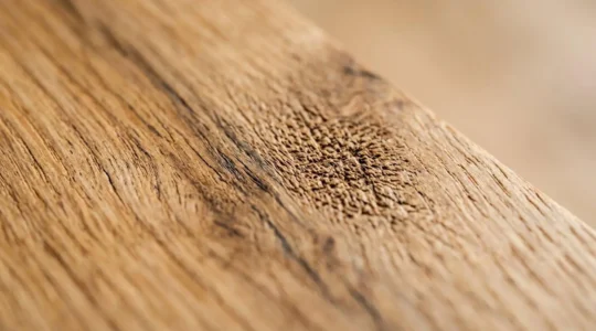 Gros plan détaillé d'une surface en bois naturel avec texture visible et finition mate protectrice